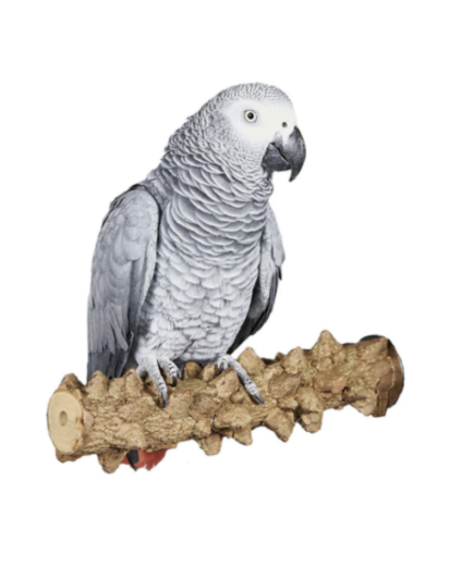 Adventure Bound Natural Wood Pepper Branch Parrot Perch - Small